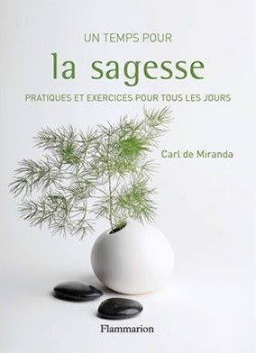 Couverture Un Temps pour la Sagesse